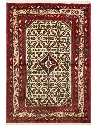 Tappeto Hamadan  A Persia cm.100x145