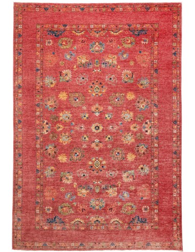 Tappeto Zigler Pakistan cm.250x364
