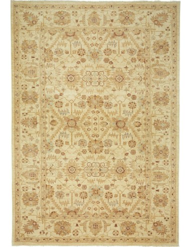 Tappeto Zigler Pakistan cm.204x295