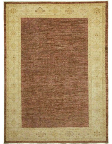 Tappeto Zigler Pakistan cm.170x227