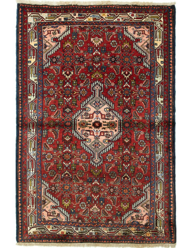 Hamadan Persia grigio ardesia scuro e terra di siena 101x144
