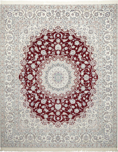 Nain 6La Persia grigio chiaro e marrone sella 262x315