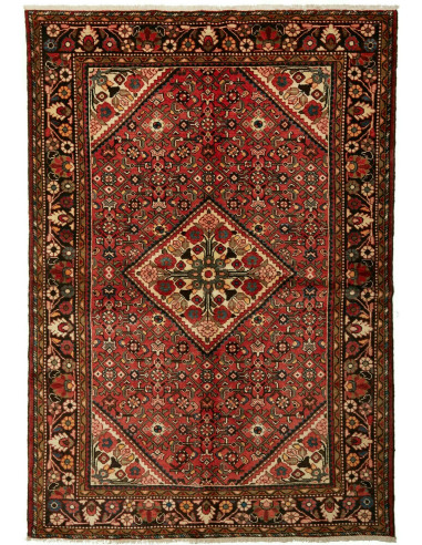 Hamadan Persia marrone rossiccio e terra di siena 155x222