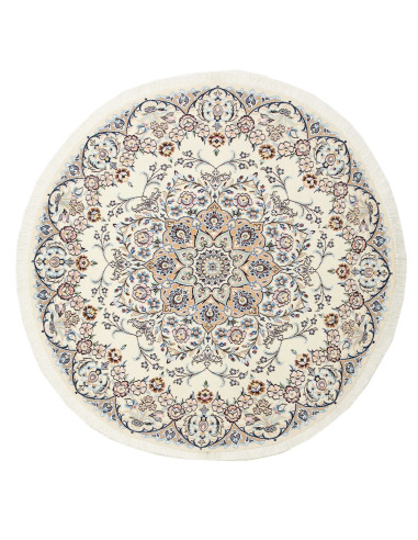 Nain 9La Persia gainsboro e grigio ardesia scuro 150x150