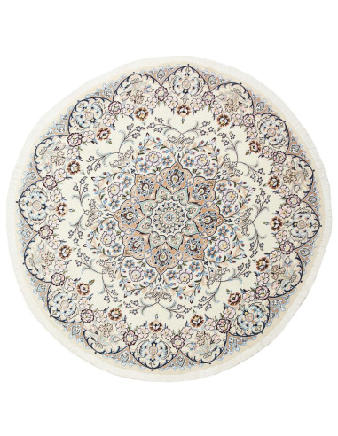 Nain 9La Persia gainsboro e grigio ardesia scuro 150x150
