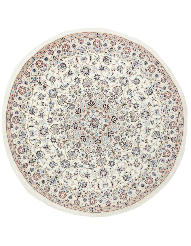 Nain 9La Persia gainsboro e grigio ardesia scuro 200x200