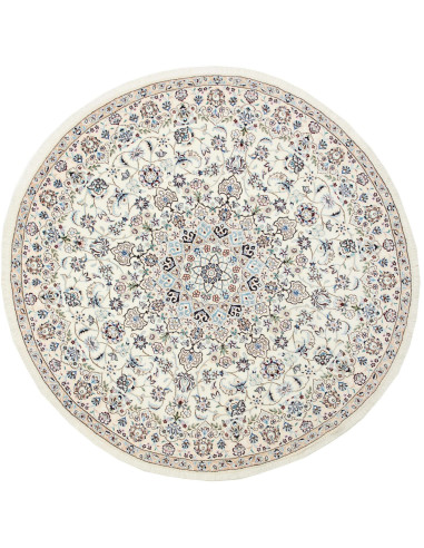 Nain 9La Persia gainsboro e grigio ardesia scuro 200x200