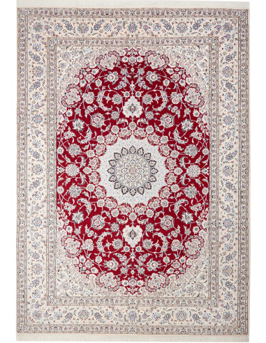 Nain 9La Persia grigio chiaro e grigio ardesia scuro 250x352