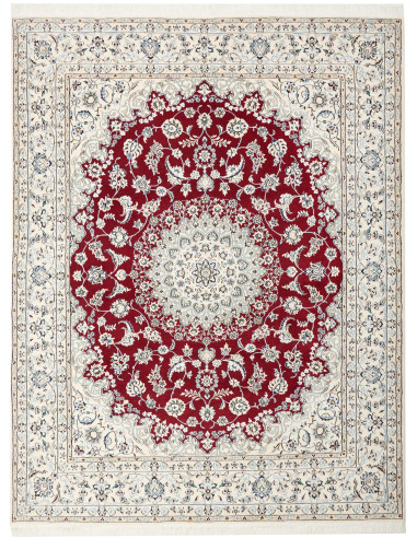 Nain 9La Persia gainsboro e grigio ardesia scuro 207x262