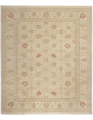 Zigler Fine Pakistan abbronzatura e abbronzatura 397x470