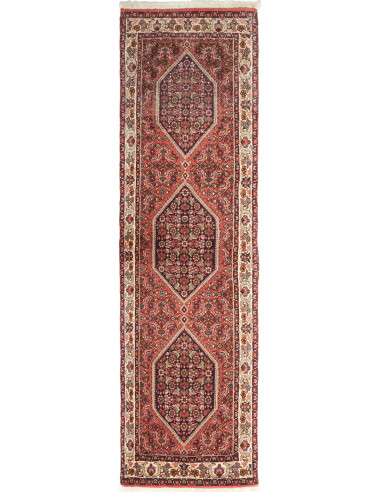 Bidjar Persia terra di siena e corallo chiaro 64x220