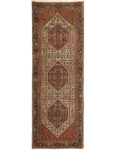 Bidjar Persia verde oliva scuro e grano 76x211