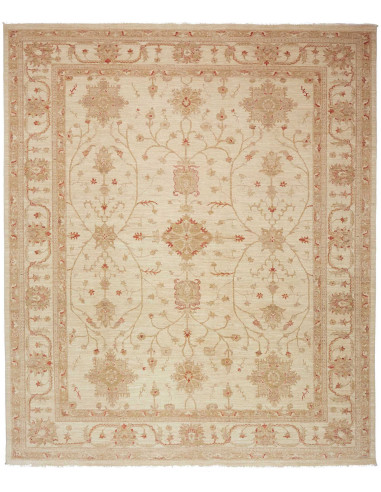Zigler Fine Pakistan abbronzatura e abbronzatura 246x295