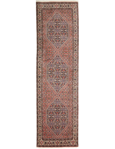 Bidjar Persia grigio tenue e marrone rosato 72x251