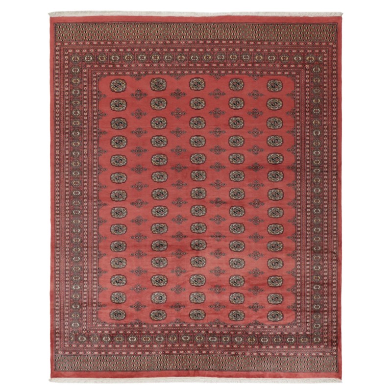 103452 tappeto pakistan bokhara cm 248x306