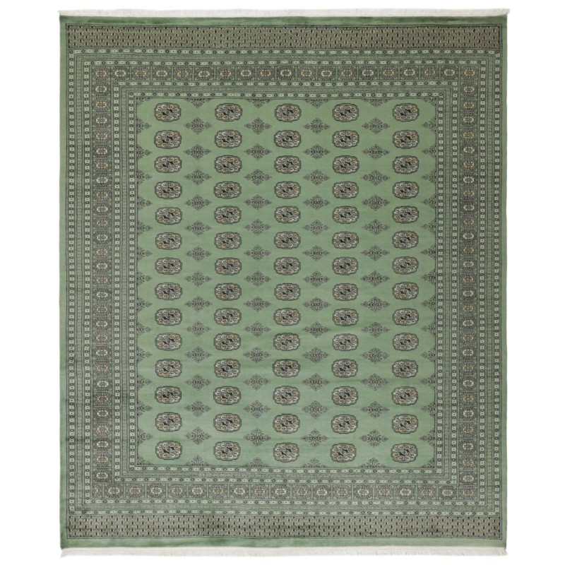 103453 tappeto pakistan bokhara cm 254x301