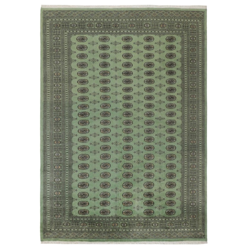103457 tappeto pakistan bokhara cm 244x338