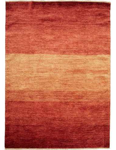 Gabbeh Moderno Pakistan terra di siena e legno robusto 204x294