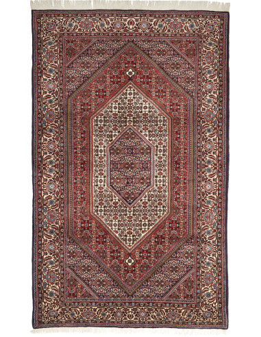 Bidjar Persia verde oliva scuro e grigio scuro 140x228