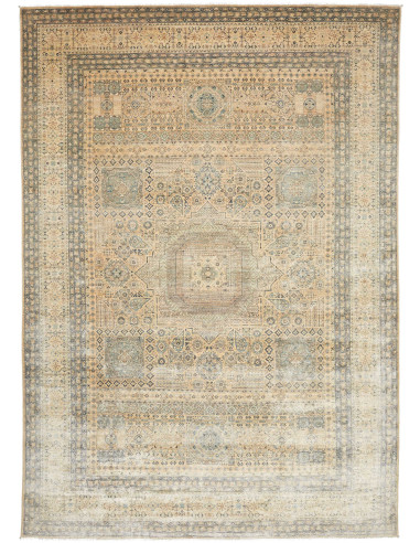 Mamlouk Pakistan abbronzatura e grigio 246x346