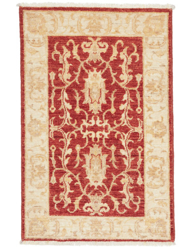 Zigler Fine Pakistan legno robusto e terra di siena 58x90