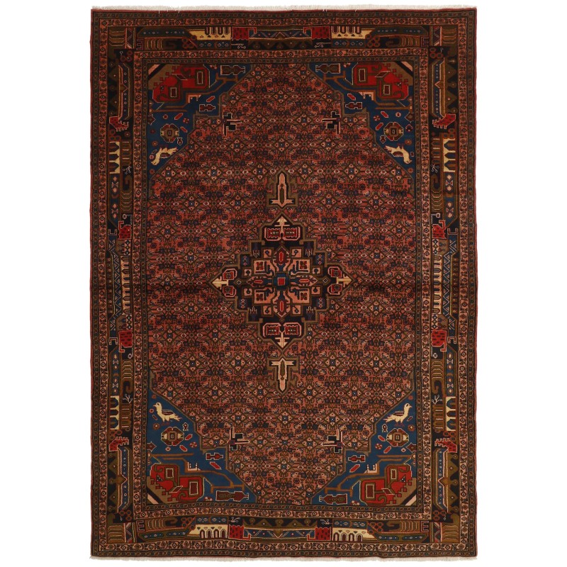 113851 tappeto persia songour cm 200x278