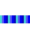 BLU AND LIGHT BLUE